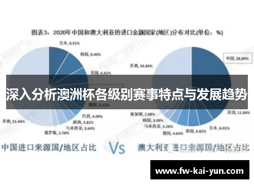 深入分析澳洲杯各级别赛事特点与发展趋势