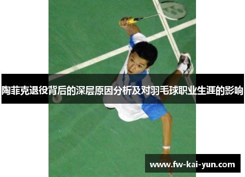陶菲克退役背后的深层原因分析及对羽毛球职业生涯的影响