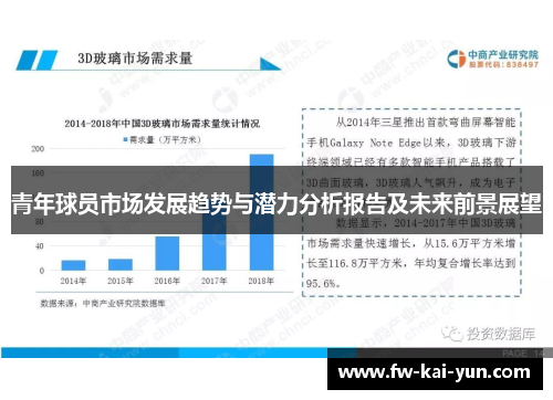 青年球员市场发展趋势与潜力分析报告及未来前景展望
