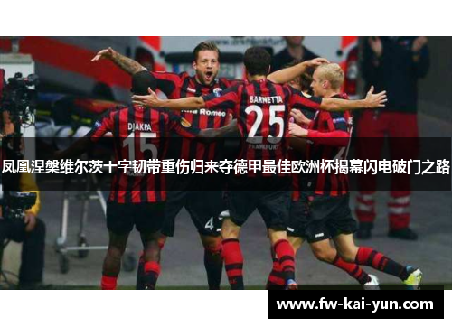 凤凰涅槃维尔茨十字韧带重伤归来夺德甲最佳欧洲杯揭幕闪电破门之路 凤凰涅槃维尔茨十字韧带重伤归来夺德甲最佳欧洲杯揭幕闪电破门之路